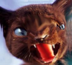 Primal fury